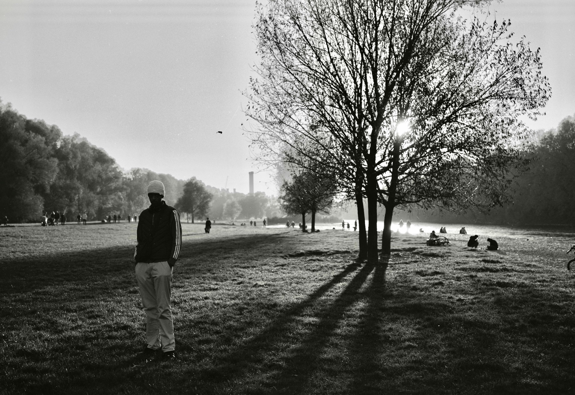 Black and white photograph of a man standing in a sunlit park beside a bare tree casting long shadows